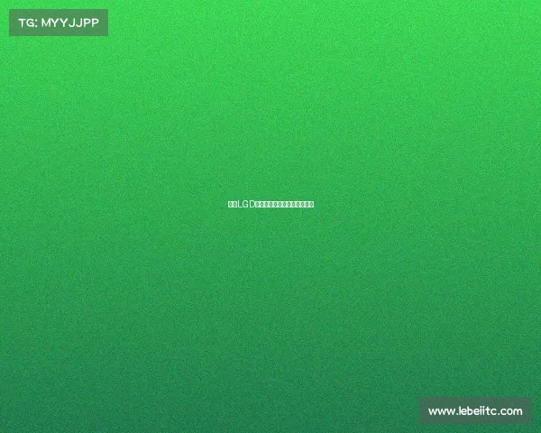 杭州LGD电竞战队:荣耀征程再启新篇 杭州LGD电竞战队:荣耀征程再启新篇